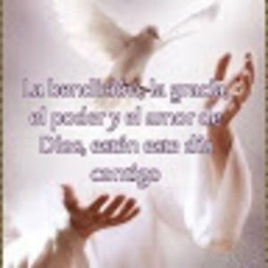 Meet your Posher, Roxana